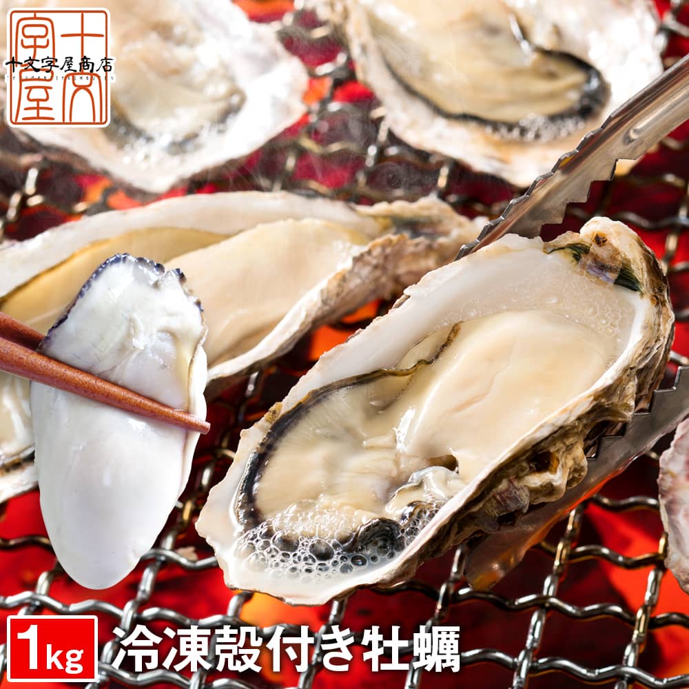 殻付き 牡蠣 1kg 生食OK 宮城県産 13～