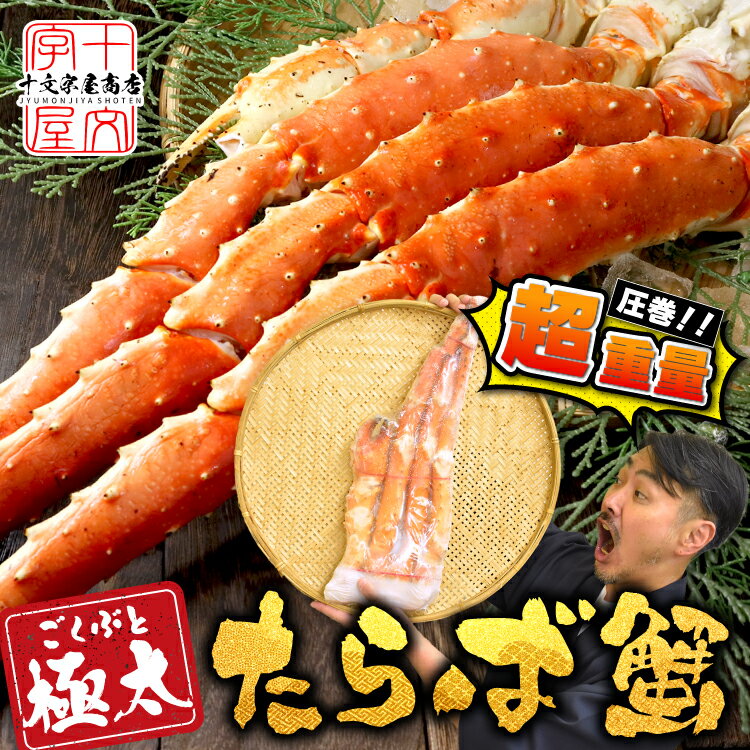 楽天スーパーSALE！ デカい！タラバガニ 世界最大クラス 超巨大 スーパープレミアム 8L 10L メガ 1.6kg 1.8kg 2.2kg 2.5kg 解凍後重量の目安約80% 肩足 一肩 1肩 たらばがに ボイル ロシア産 たらば 蟹 タラバ蟹 蟹 かに カニ 冷凍 ギフト 脚 足 特大 1キロ 2キロ 送料無料のサムネイル