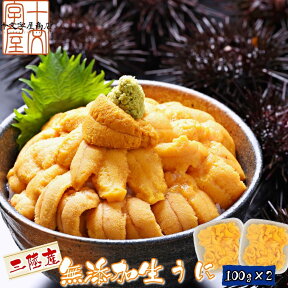 【予約販売】むきたて 鮮度抜群 生ウニ 産地直送 生うに 三陸産天然ムラサキウニ 塩水パック 滅菌海水 100g×2 冷蔵便 生雲丹 無添加 ミョウバン不使用 お中元 御中元 送料無料(中国・四国・九州・沖縄を除く) 宮城県WEB物産展