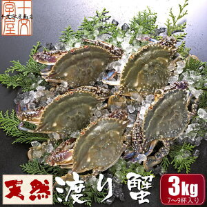 三陸石巻産ワタリガニ オス・メス込 生冷凍 3kg 7〜9ハイ入り 特大 約450g〜300g 渡り蟹 渡りがに ガザミ かに カニ 産地直送 送料無料[一部地域を除く]