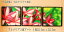 3つの絵でひとつのアートとして完成する プルメリア の 絵画 バリ 絵画 バリ絵画 バリアートバリ雑貨 インテリア 壁掛け プルメリア アート木製フレーム ハワイアン サーファーズハウス リゾート プルメリアアート3枚1セット ピンク 横 52.5cm x 縦 52.5cm　x 厚み4.8cm