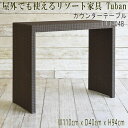 『屋外で使用可能なアウトドア家具』カウンターテーブル アウトドア サウナ 庭 外 テラス リゾート家具 アジアン家具 テーブル 人工ラタン バリ家具 家具 サーファーズハウス バリ島 ホテル アジアンインテリア TUBAN TUT-04B 