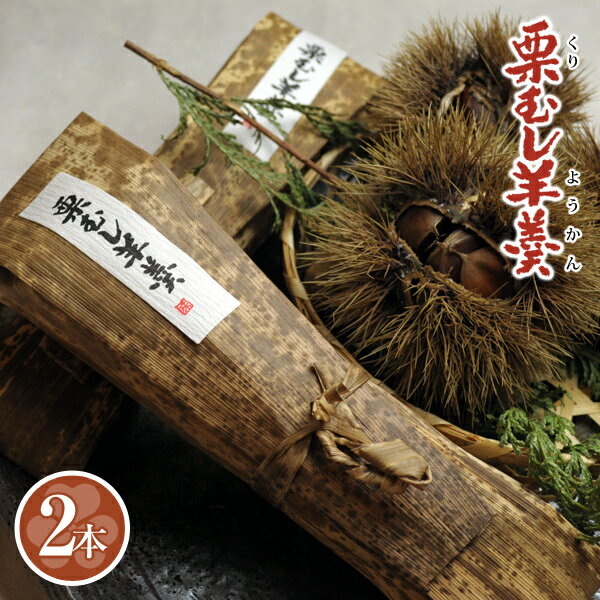 【栗 和菓子ギフト スイーツ 御供 お祝 イベント お取り寄せ 】小豆漉し餡と葛粉でモチモチ 栗むし羊羹..