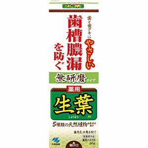 乐天商城 - 小林製薬 薬用 生葉m 無研磨タイプ 95g