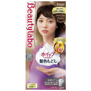 BeautyLabo（ビューティラボ）　ホイップヘアカラー　髪色もどし ナチュラルブラウン 40g+80mL+5mL