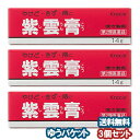 【第2類医薬品】 クラシエ 紫雲膏(シウンコウ) 14g×3個セット メール便送料無料_