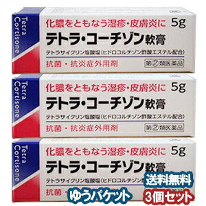 【第 2 類医薬品】 テトラ・コーチゾン軟膏 5g 3個セット メール便送料無料_