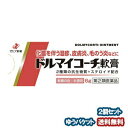 【第(2)類医薬品】 ドルマイコーチ軟膏 6g×2個セット メール便送料無料_
