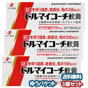 【第(2)類医薬品】 ドルマイコーチ軟膏 6g×3個セット メール便送料無料_