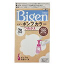 ビゲン ポンプカラー つめかえ 2RB 明るいリッチブラウン(50mL+50mL+5mL)