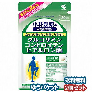 小林製薬 グルコサミン コンドロイチン硫酸 ヒアルロン酸 240粒（約30日分）×2個セット メール便送料無料_