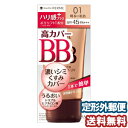 フェルム エッセンスBBクリーム UV 01 明るい肌色 30g メール便送料無料