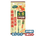 【第3類医薬品】 小林製薬 生葉口内塗薬 20g×2個セット メール便送料無料