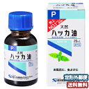 ケンエー ハッカ油 P 20ml メール便送料無料