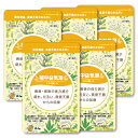 【第2類医薬品】本草 補中益気湯エキス錠-H 144錠 (12日分) 5個セット 錠剤 送料無料 / ホチュウエッキトウ 補中益氣湯