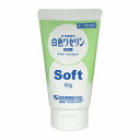 【第3類医薬品】 ケンエー 白色 ワセリン(ソフト) 60g メール便送料無料