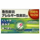 【第(2)類医薬品】 新ビスティー鼻炎カプセルL 48カプセル メール便送料無料