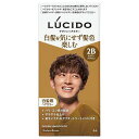 ルシード(LUCIDO) デザインヘアカラー モダンブラウン