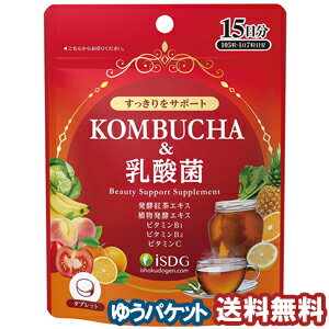 医食同源ドットコム KOMBUCHA ＆ 乳酸菌 (15日分) 105粒 メール便送料無料