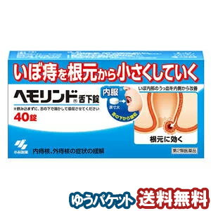 【第2類医薬品】ヘモリンド舌下錠 40錠 メール便送料無料