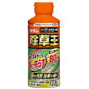 カダン 除草王 オールキラー粒剤 400g