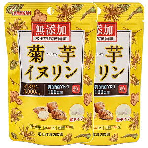 菊芋イヌリン粒 180錠×2個セット メール便送料無料