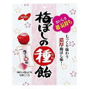 ノーベル 梅ぼしの種飴 30g