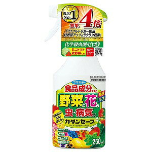 ※パッケージデザイン等は予告なく変更されることがあります。予め御了承下さい。商品特徴●病気になる前に、あらかじめ散布！ カダンセーフがさらに適用拡大し、植え付け時や病気発生前にあらかじめ散布して、うどんこ病を予防※できるようになりました。使い方はスプレーするだけと簡単。家庭菜園やガーデニングを初めたばかりの方でも手軽にお使いいただけます。 ※ばらに発生するうどんこ病に対して●活力成分プラスで元気に育つ！ 天然アミノ酸の働きで野菜のおいしさや糖度、植物の花つきや色鮮やかさがアップします。さらにAO（アルギン酸オリゴ糖）が、植物の生育に悪影響を及ぼす日照不足や乾燥によるストレスを軽減。日陰でも植物がよく育ちます。 ●化学殺虫・殺菌剤不使用！ 食品成分由来の膜が病害虫を包んで退治。害虫は呼吸ができずに窒息死し、病原菌も栄養を得られず死滅します。屋内での使用や、お子様・ペットのいるご家庭にもおすすめです。 ●日本初！アオムシに効く。有効成分が食品生まれの農薬として日本で初めて※1アオムシの登録を取得※2。※1 アオムシに登録のある有効成分が食品生まれの農薬（当社調べ）※2 はつかだいこん●効果4倍のパワフル噴霧！ パワフルトリガーの採用により、薬剤の付着量がアップ、効果が4倍※になりました。また、逆さ噴霧も可能なので、病害虫が潜む葉裏への散布も簡単です。 ※当社従来品比較・アブラムシに対する致死効果●日本初！※1食べる当日まで何度でも使える。 使用回数に制限がなく、収穫して食べる当日まで野菜や果樹等の病害虫に何度でも使用できます※2。※1 AL剤（特定防除資材を除く）※2 野菜類、果樹類 ●さまざまな植物に使える！●冷害のない水性・ノンガスタイプ。●いやなニオイもありません。適用害虫 アブラムシ類、ハダニ類、コナジラミ類、アオムシ、アメリカシロヒトリ成分有効成分：ソルビタン脂肪酸エステル 農林水産省登録：第20924号広告文責くすりの勉強堂TEL 0248-94-8718■発売元：フマキラー株式会社