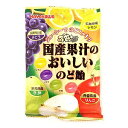 国産果汁のおいしいのど飴 90g(4)