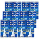 【第2類医薬品】 ハナスキット鼻炎スプレー 30ml×12個セット 送料無料 ※セルフメディケーション税制対象商品