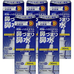 【第2類医薬品】モーテンAG点鼻薬 30ml×5個セット ※セルフメディケーション税制対象商品 送料無料