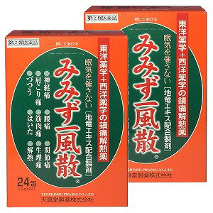 【第(2)類医薬品】みみず一風散 24包×2個セット あす楽対応