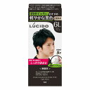 LUCIDO ルシード ワンプッシュケアカラー 6L ライトブラック 1セット 医薬部外品