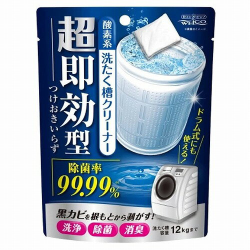 超即効型洗たく槽クリーナー 120g メール便送料無料