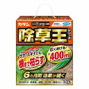 カダン 除草王 シリーズ オールキラー 粒剤 2kg