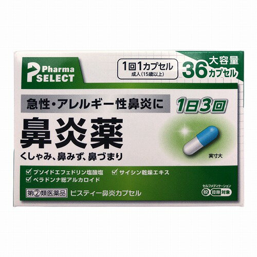 【第(2)類医薬品】 ビスティー鼻炎カプセル 36カプセル ※セルフメディケーション税制対象商品 メール便送料無料