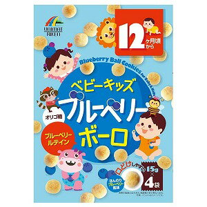 ベビーキッズ ブルーベリーボーロ 15g×4袋入