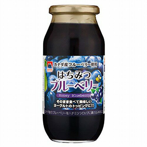 はちみつブルーベリー 650g k-benkyo-10194616 くすりの勉強堂 アネックス パッケージ画像