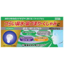 【第(2)類医薬品】新ビエンリックPEソフト 40カプセル ※セルフメディケーション税制対象商品 メール便送料無料