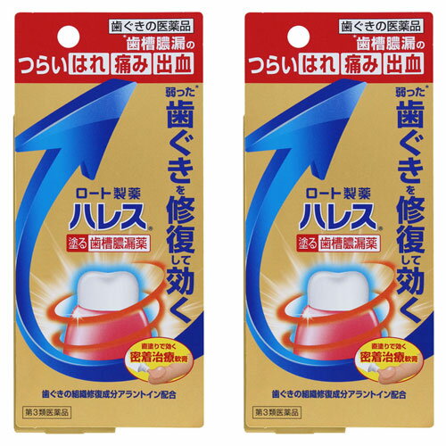 Rakuten - 【第3類医薬品】ハレス口内薬 15g×2個セット メール便送料無料