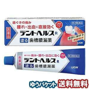 【第3類医薬品】 デントヘルスR 40g メール便送料無料