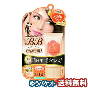 サナ 毛穴パテ職人 ミネラルBBクリーム エンリッチモイスト EM 30g メール便送料無料