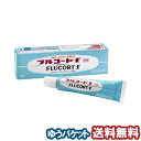 【第(2)類医薬品】 フルコートF 10g
