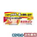 【第2類医薬品】 キズカイン(15g) メール便送料無料