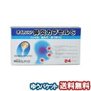 【第(2)類医薬品】 オムニン鼻炎カプセルS 24カプセル メール便送料無料 ※セルフメディケーション税制対象商品