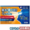 【第2類医薬品】 スカイブブロンHI 30錠 ※セルフメディケーション税制対象商品 メール便送料無料