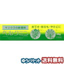 【第3類医薬品】 ベルクミン 20g メール便送料無料_