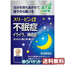 【第2類医薬品】 スリーピンα 24錠(4錠×6袋) メール便送料無料