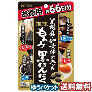 井藤漢方 黒胡麻・卵黄油の入った琉球もろみ黒にんにく 徳用 198粒 メール便送料無料