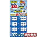 小林製薬 かんたん洗浄丸 小粒タイプ(6粒×8袋) メール便送料無料